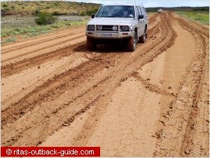 strzelecki track